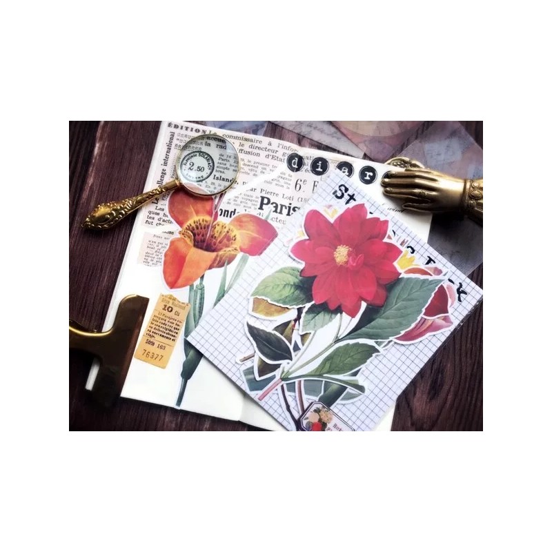 Unbranded floral flower botanical themed Decorative Stickers, 6pcs/pack Y06 Y06-L