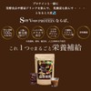 SoyVegePROTEIN 15 Packets, Plant Fermented Extract, Lactic Acid Bacteria, Bifidobacteria