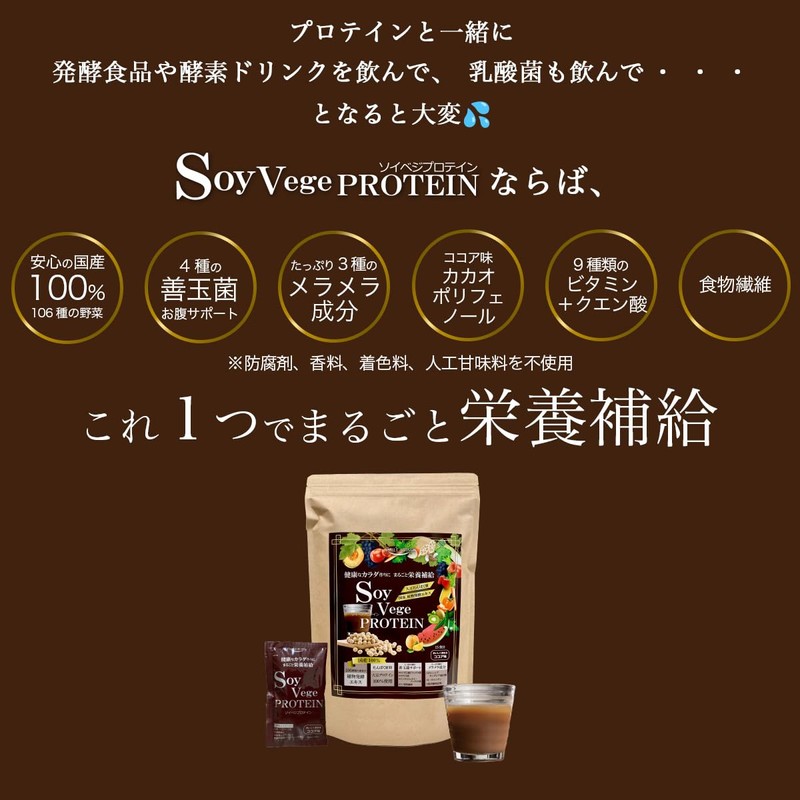 SoyVegePROTEIN 15 Packets, Plant Fermented Extract, Lactic Acid Bacteria, Bifidobacteria