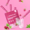 Venture Pal Sugar Free Electrolyte Powder Packets - Liquid Daily
