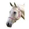 Shires Wessex Pony/Horse Headcollar Full Navy Blue