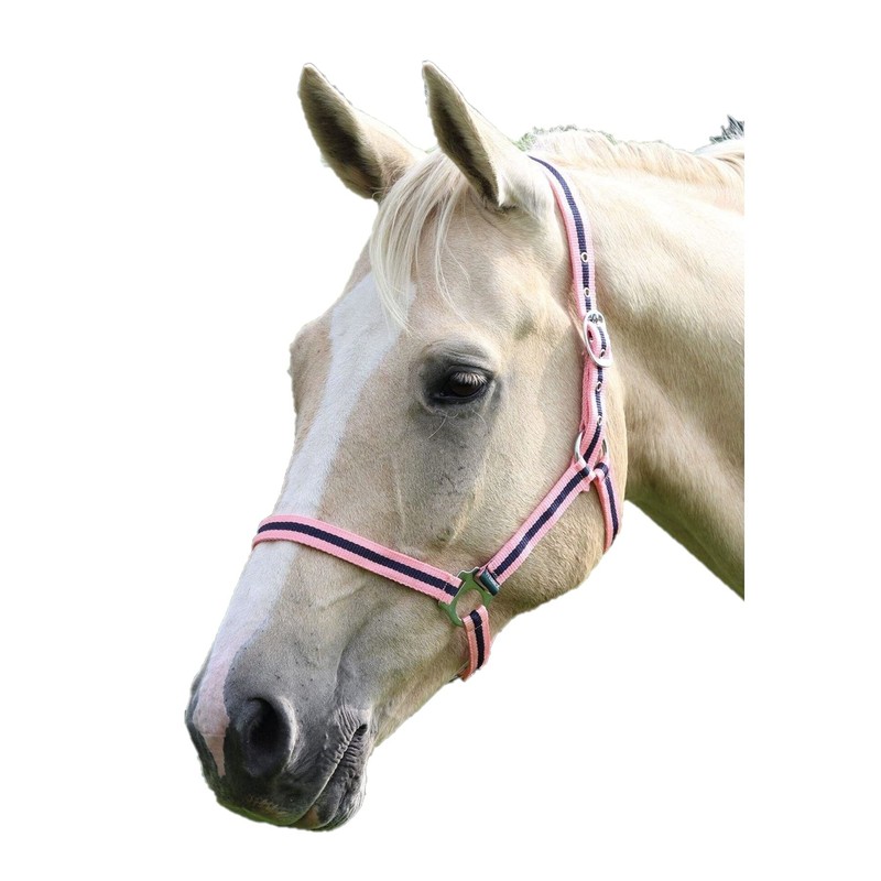 Shires Wessex Pony/Horse Headcollar Full Navy Blue