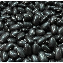 Ayocote Negro Frijoles Black Bean Heirloom Seeds for Planting Packet