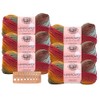 Lion Brand Yarn - Landscapes - 6 Pack with Needle