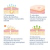 Leafcare Co. 2 pack con 36 pzs, Patch anti acne,