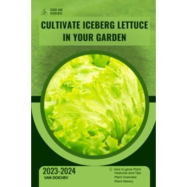 Cultivate Iceberg Lettuce in Your Garden: Guide and overview
