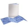 Zero In AMZ974 Carpet Beetle Killer Strips 20 Pack x2,
