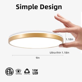 HOREVO RGB Flush Mount Light Fixture with Bluetooth Speaker, 24W Dimmable Brushed Nickel LED Ceiling Light for Bedroom, Living Room, Kid's Rooms, Kitchen, Hallway (Need Wired)