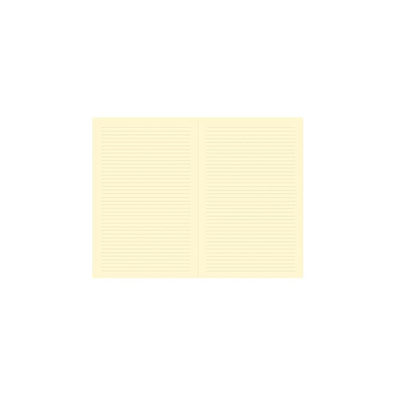 Quo Vadis 23744 Habana – Notebook 15 Lines bronze