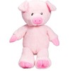 Cuddly Soft 16 inch Stuffed Pink Pig...We Stuff 'em...You Love