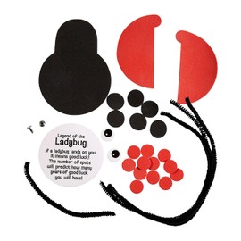 Fun Express Legend of The Ladybug Craft Kit - Makes 12
