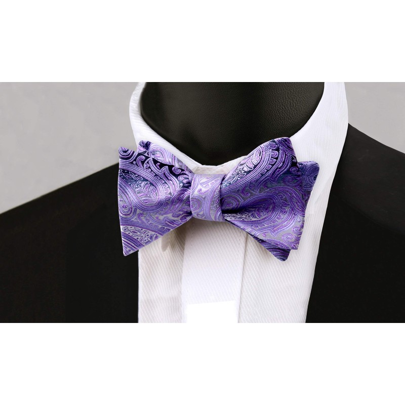 Alizeal Mens 2pcs Gradient Color Classic Paisley Self-tied Bow Tie