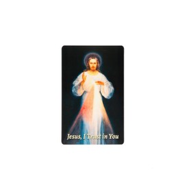 SercelPress Divine Mercy Holy Card, Jesus I Trust in You, Durable Wallet Holy Card, Pocket PrayerFulls, (1)
