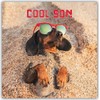Noel Tatt Cool Son Birthday Card - Dachshund in Sand