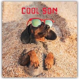 Noel Tatt Cool Son Birthday Card - Dachshund in Sand - Eco-Friendly and Recyclable