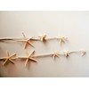 Hawaiian Decor Starfish 7P Ornament Starfish Garland Hawaiian Sundries Display