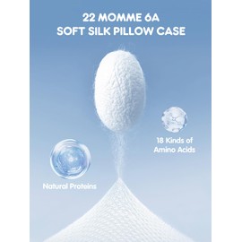 Mulberry Silk Pillowcase for Hair and Skin, SGMSILK 22 Momme Natural Silk Pillow Cases with Zipper, 6A Soft and Smooth Single Sided Pure Silk Pillow Cover (White, Queen 20"x30")