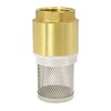 VARIOSAN Foot Valve 14146, 3/4 Inch Check Valve, Brass, Stainless