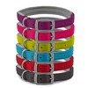 Ancol Viva Padded Soft Touch Weather Proof buckle collar in
