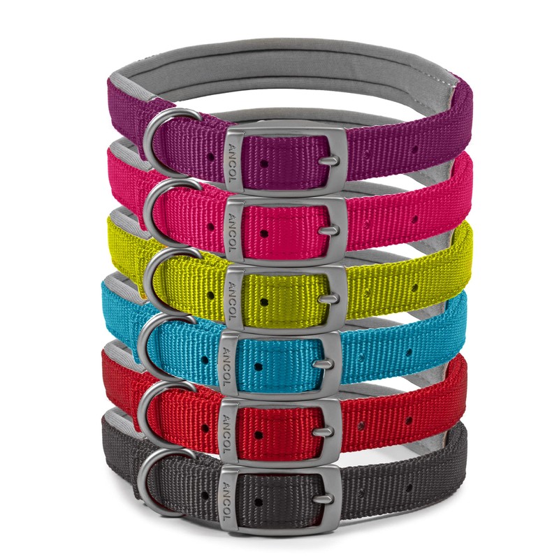 Ancol Viva Padded Soft Touch Weather Proof buckle collar in