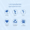 TEIA COSMETICOS Suero Oil Control, para Piel Grasa y Mixta,