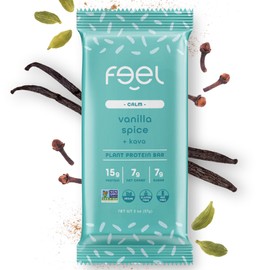 Feel Vegan Protein Bars | Vanilla Spice | Keto | Gluten Free | Organic | Kava | 15g Protein | Low Carb | Dairy Free | Grain Free | Soy Free | Nut Free | Low Sugar | Non GMO - 10 Pack
