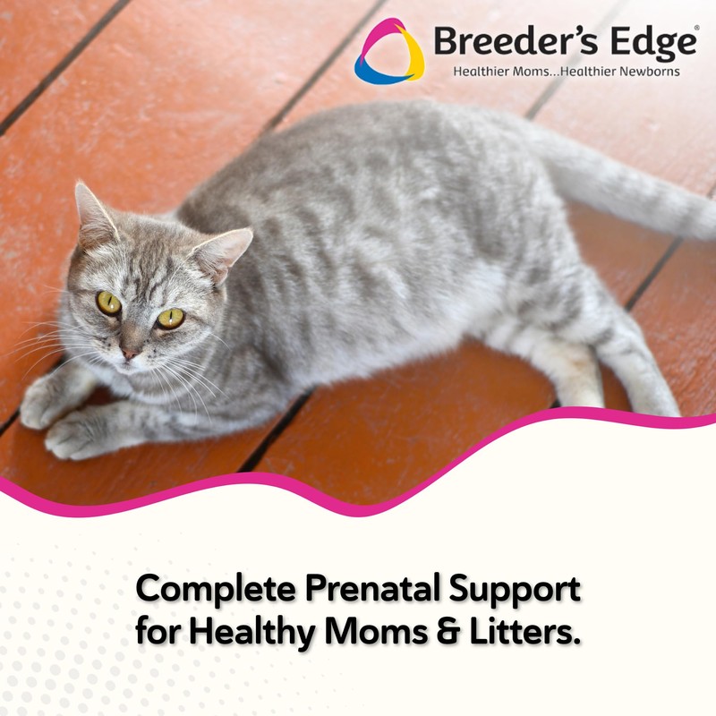 Breeder's Edge Oxy Mate Dog & Cat Prenatal Vitamins, Comprehensive