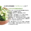 Angelbean オーガニック・イヌリン 有機JAS アガベイヌリン 水溶性 食物繊維 粉末(パウダー) 200g