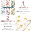 moin Moin 2204sl138 Seal, Pressed Flowers, Clear, Transparent, Random Set