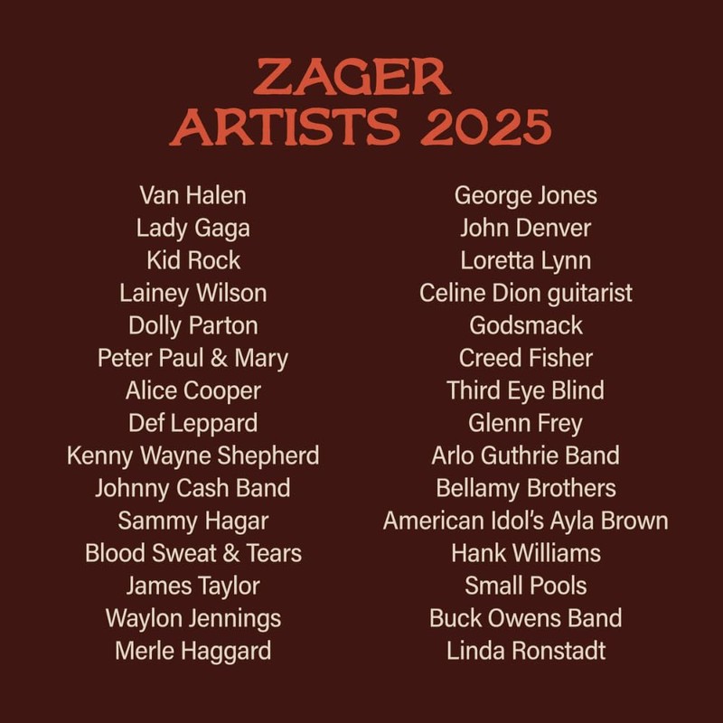 Zager Easy Play Acoustic Guitar Strings – Fits Martin, Taylor,