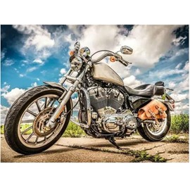 CXYQLC DIY 5D Diamond Painting Kits for Adults,Diamond Painting Full Drill Crystal Rhinestone Embroidery Craft Kits for Home Wall Decor Gifts 11.8x15.7inch(Motorcycle)