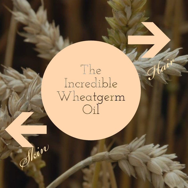 Greenwood Essential Pure Wheat Germ Oil (Triticum vulgare) Natural Therapeutic