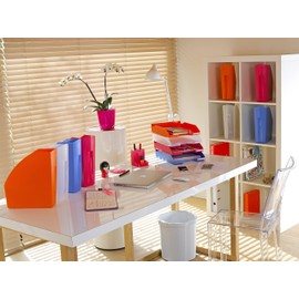 Exacompta - Ref 18057D - Office Magazine File - 292 x 110 x 320mm in Size, Suitable for Storing A4+ Documents, Large Storage Capacity, Easy Handling - Frosted Translucent