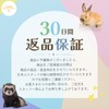 Rabbit Water Drinker, Rabbits, Water Drinker, Pets, Small Animals, Water