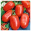 Everwilde Farms - 1 Lb Roma Tomato Seeds - Gold