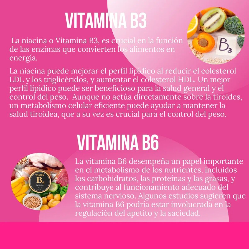 Suplemento Quemador Reductivo Con Lipoenzimas 90 Cápsulas