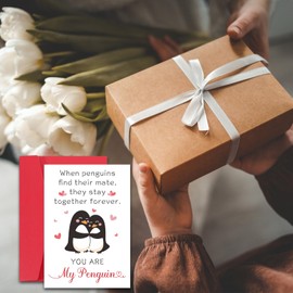 Raddimelo Valentines Day Gifts for Wife Husband, Boyfriend Cards from Girlfriend, Couple Gifts, Romantic Gifts for Women Men, Anniversary Wedding Gifts, Husband Wife Christmas Cards, Birthday Gifts Ideas