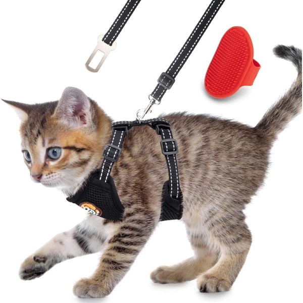 Does not apply Reflective Kitten Harness and Leash Escape Proof