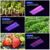 WZDRAGON 2024 Newest BW1000 LED Grow Lights Double Chips Full