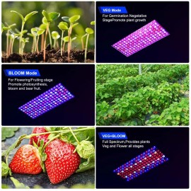 WZDRAGON 2024 Newest BW1000 LED Grow Lights Double Chips Full Spectrum for Greenhouse ...