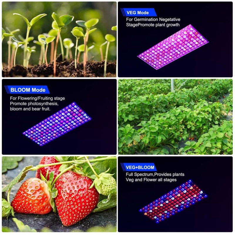 WZDRAGON 2024 Newest BW1000 LED Grow Lights Double Chips Full