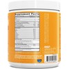 RSP NUTRITION RSP AminoLean Recovery - Post Workout BCAAs Amino