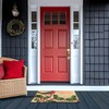 Entryways Victoria and Albert Museum Coir Doormat - Festive Robin,