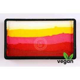 Cameleon Paint Splitcake Color Block Roses