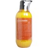 Phoenix Honey Honey Hair Conditioner, 16.9 fl oz (500 ml)