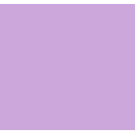 A4 Coloured Papers 80gsm Arts Craft Sheets Bright Pastel Neon Laser Inkjet Printers 100 Sheets (Lilac)
