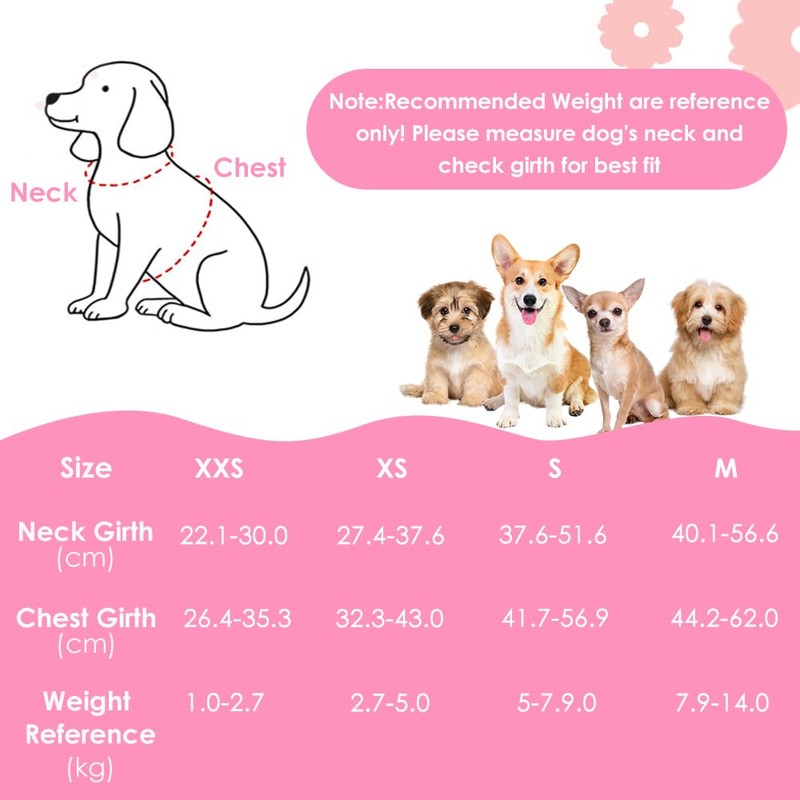 Eyein Small Dog Harness and Lead Set - Soft Mesh