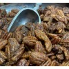Keto Delights Lockhart Sugar-free cinnamon candied pecans