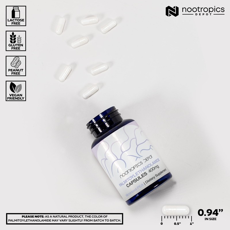 Nootropics Depot Palmitoylethanolamide Capsules | Pea | 400mg Pills |