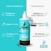 Barcelona Pharma | Shampoo hidratante | Hidrata y reconstruye |